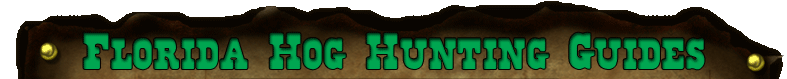 Florida Hog Hunting Guides, Florida hog guide, Fl hog hunt guide, hunting guides for hogs Fl