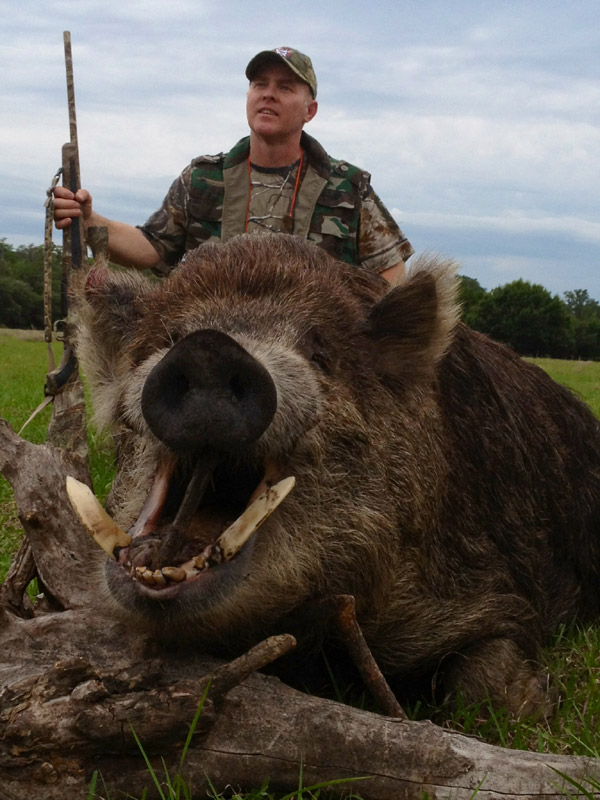 South Florida Hog Hunting Trophy Boar Picture